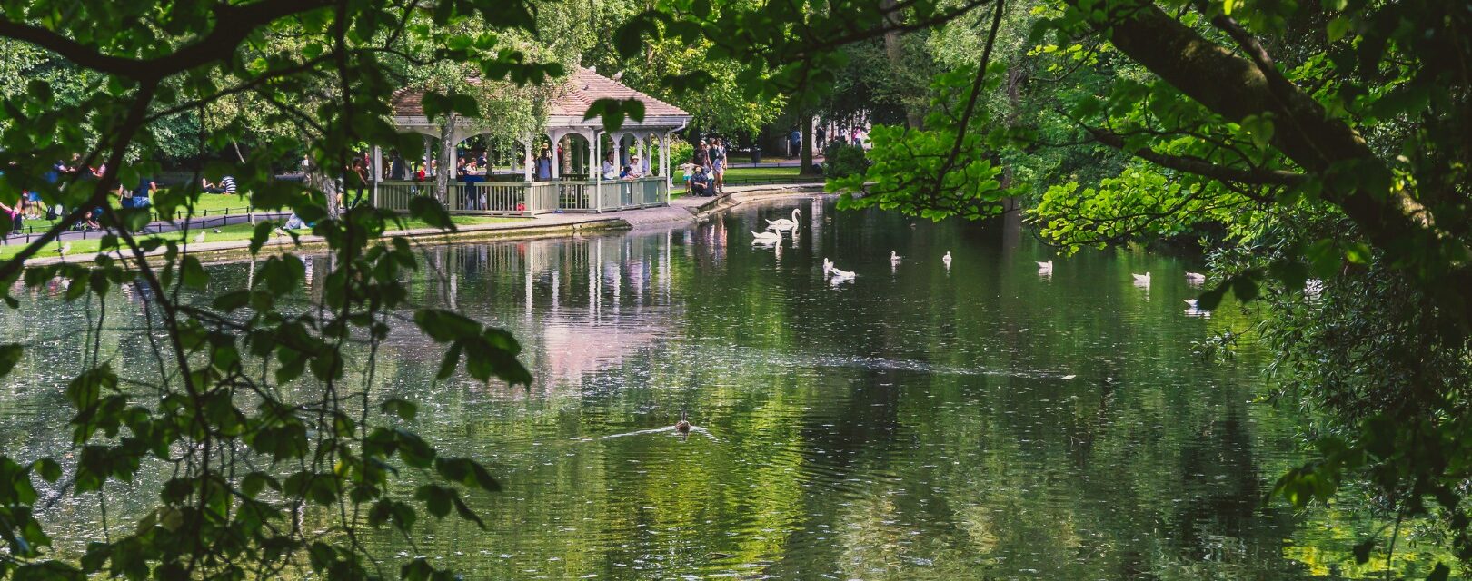 StephensGreen summer_ccexpress