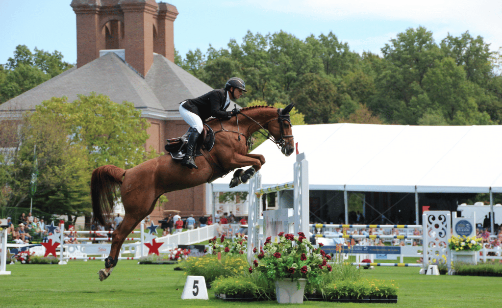 A horse and rider are captured mid-jump over an obstacle during an equestrian event. The rider is dressed in a black jacket, white pants, and a helmet. The horse is brown with a braided mane. In the background, there is a large white tent and a brick building with trees surrounding the area. There are also flower arrangements near the obstacle and spectators watching the event, suggesting a location near a hotel near the RDS (Royal Dublin Society).