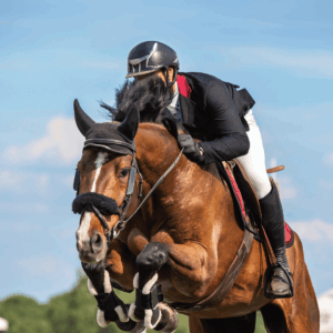 A horse and rider are captured mid-jump over a colorful obstacle during an equestrian event, with the Irish flag visible in the background, suggesting an event near a hotel near the RDS (Royal Dublin Society).