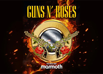 guns-and-roses