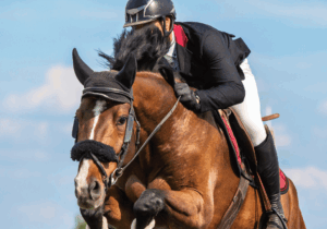 A horse and rider are captured mid-jump over a colorful obstacle during an equestrian event, with the Irish flag visible in the background, suggesting an event near a hotel near the RDS (Royal Dublin Society).