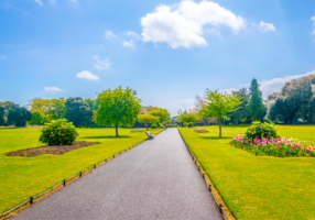 Things To Do In Dublin In Summer